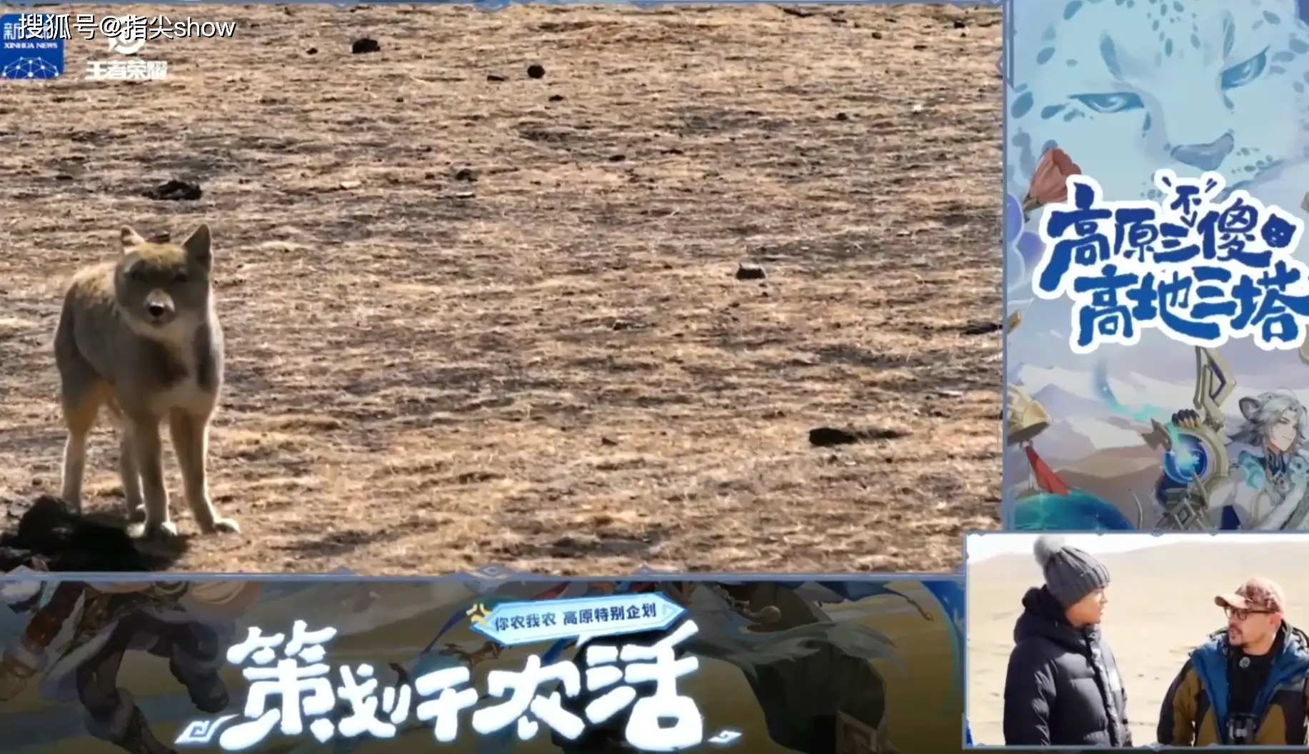 策划高原捡牛粪直播！S39赛季金银牌获取规则是否有变？速看
