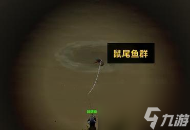 怀旧服冬鱿鱼在哪里钓_魔兽世界冬鱿鱼哪里钓_