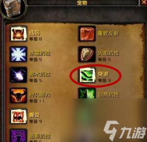 魔兽世界蝎子宝宝升级全攻略！你知道这些高效喂养技巧吗？