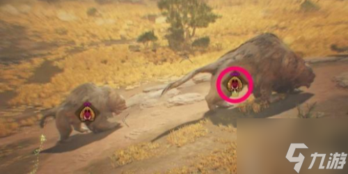 _猎人野外刷怪_tbc猎人野外刷怪