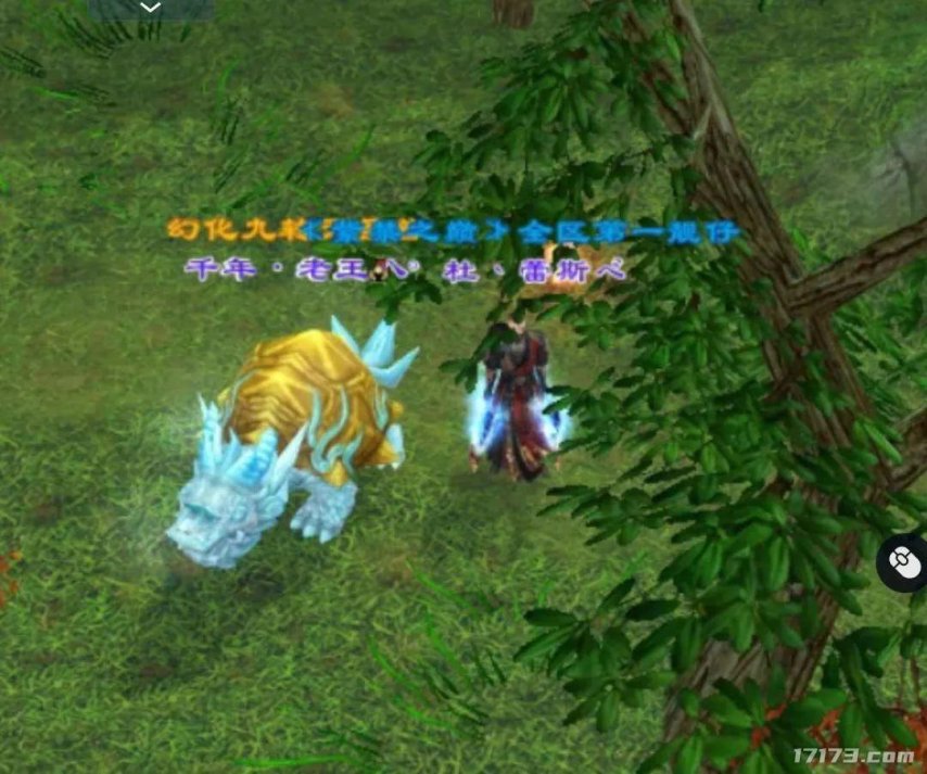 _天龙重楼肩_天龙重楼带