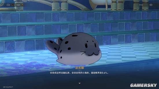 萌宠小海豹_超萌小海豹_