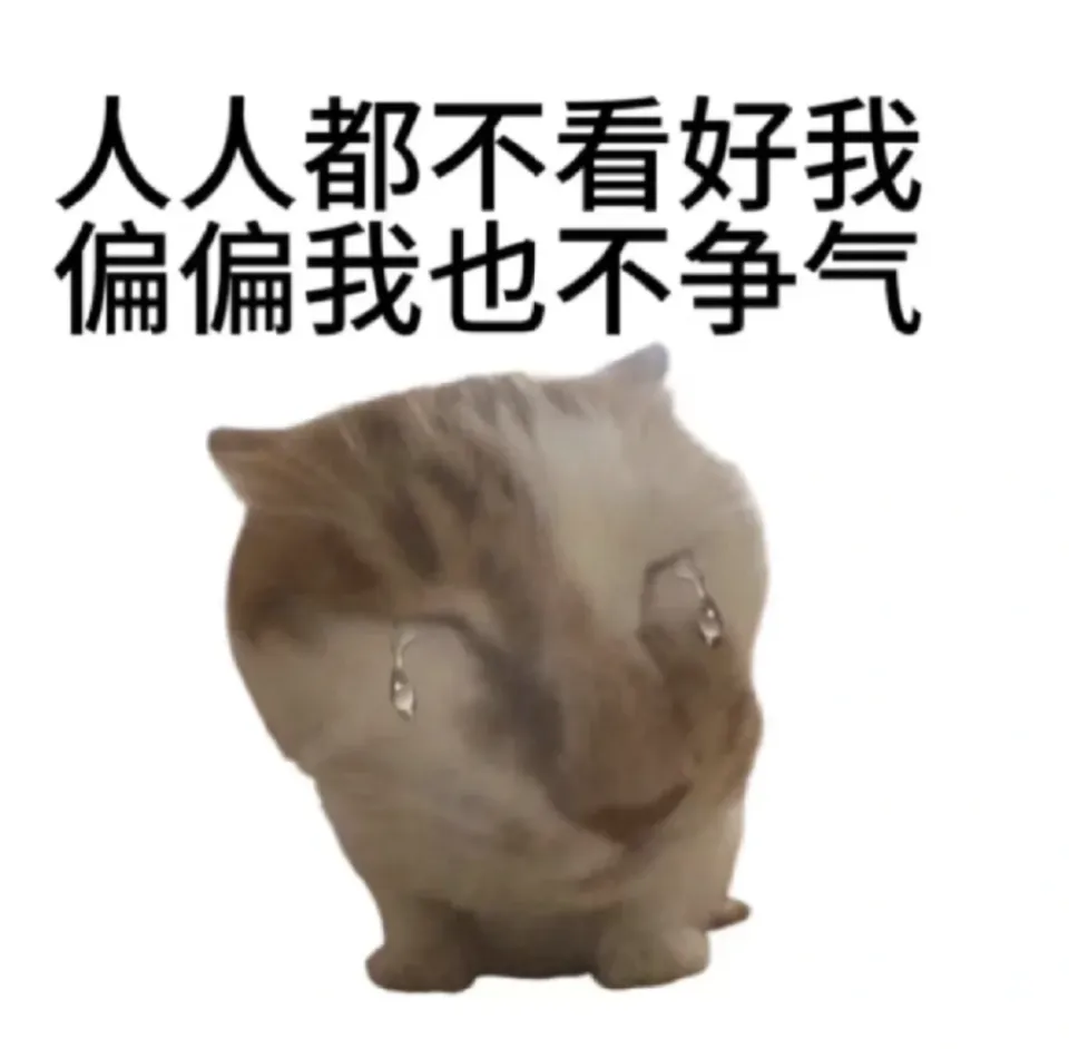 _马斯克直播间_马斯克直播内容