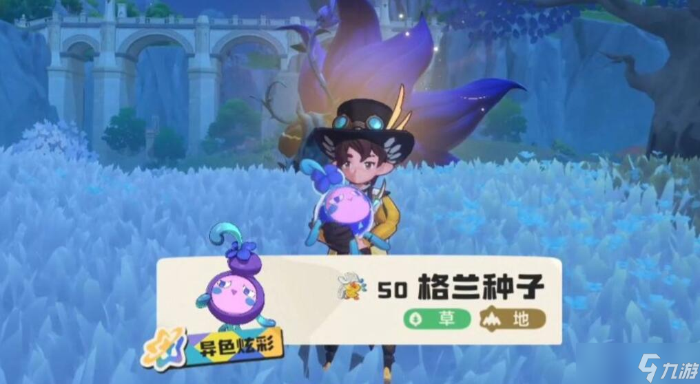 _洛克王国种子在哪里买_洛克王国种植经验