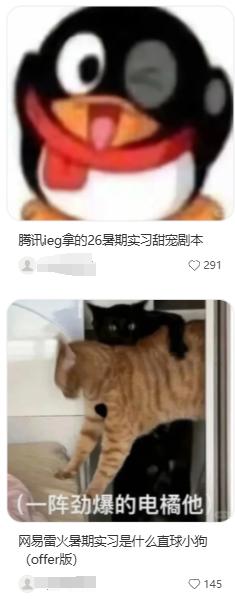 游戏人的就业焦虑，也能成为网红起号的流量密码？_游戏人的就业焦虑，也能成为网红起号的流量密码？_