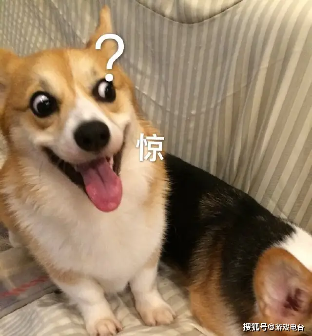 思聪对话__思聪回应