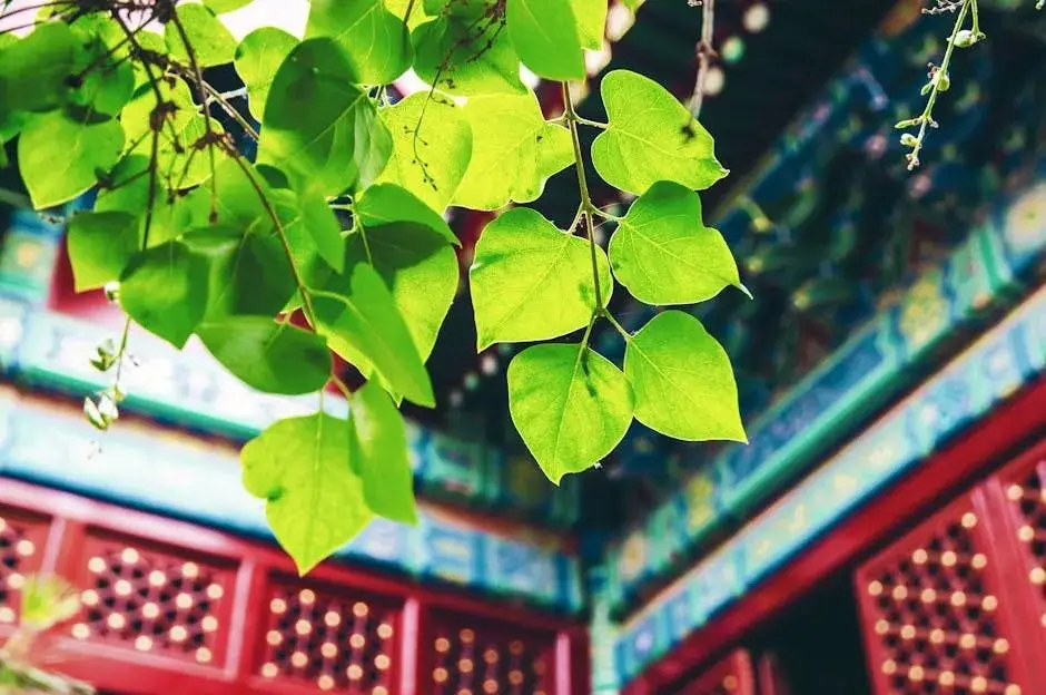 从啃老族到影史封神！饺子导演如何用哪吒2诠释我命由我不由天？