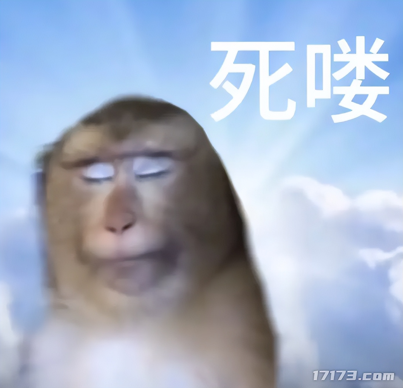 奶茶试喝活动__专属奶茶测试