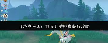 洛克王国噼啪鸟太难抓？这份详细攻略让你轻松搞定
