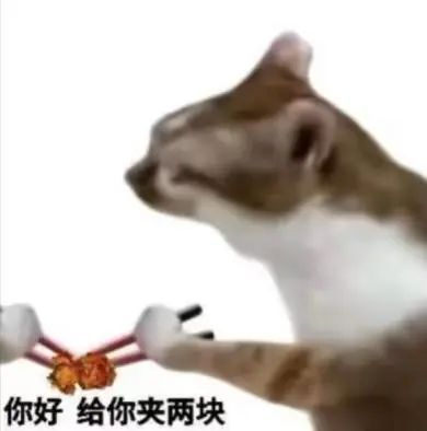 骆驼比马瘦_马瘦奇怪骆驼能翻死吗_