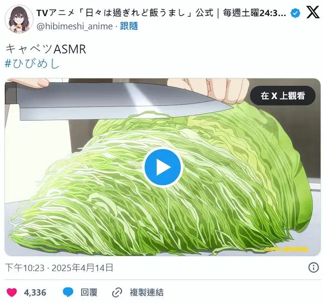 _同志圈天菜什么意思_高丽菜是什么菜图片