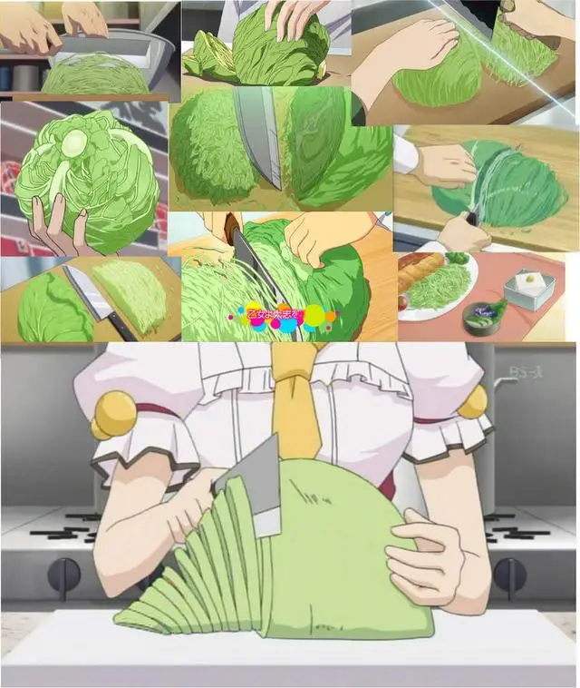_高丽菜是什么菜图片_同志圈天菜什么意思