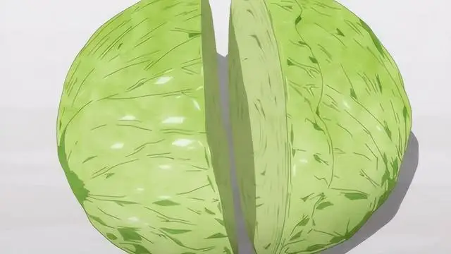 高丽菜是什么菜图片__同志圈天菜什么意思
