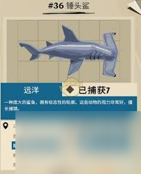 渔帆暗涌手游四条强壮大鱼位置大揭秘！你还在苦苦寻找吗？