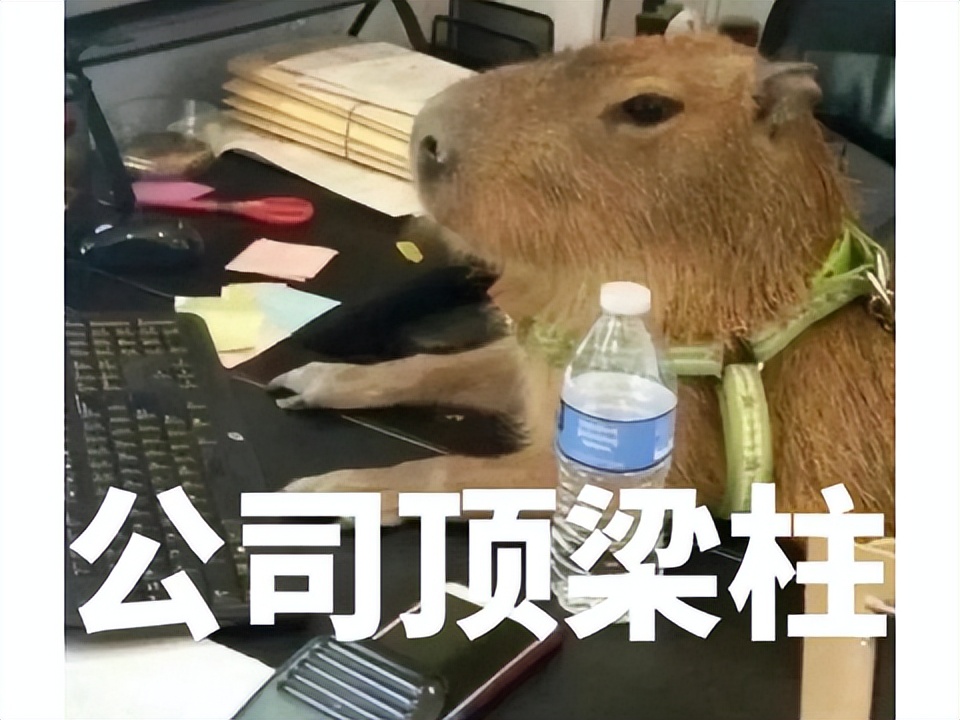 _被守尸24小时！中国最长寿武侠MMO，靠应届生被“踩”逆天改命？_被守尸24小时！中国最长寿武侠MMO，靠应届生被“踩”逆天改命？