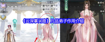 掌门培养弟子的单机手游__弟子掌门养成云路小说