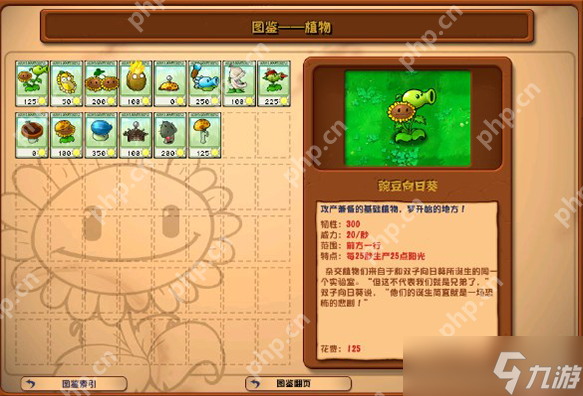 僵尸大战植物叫什么游戏__《僵尸大战植物》