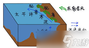 海洋深处藏着怎样的秘密？这个实验让你亲眼见证垂直水流的神奇现象