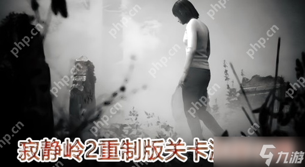 寂静岭2重制版：你敢挑战这款心理恐怖巅峰之作吗？