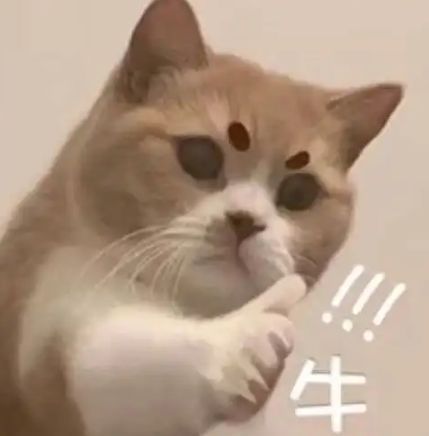 掌控全局什么意思_全局掌控者_