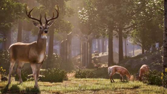空旷用来形容什么_空旷是什么_