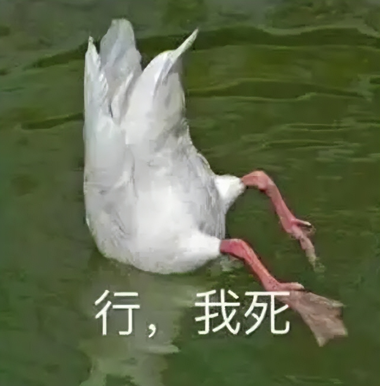 腾讯停运的卡牌手游_腾讯纸牌游戏有什么_