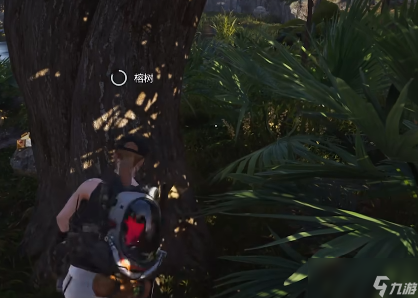 帐篷出自哪里_帐篷节视频_