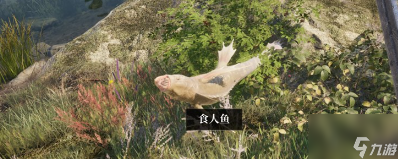 玩上古卷轴 4：湮灭重制版？钓鱼任务这坑你避了吗！奖励超诱人