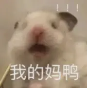 _防战神器全部隐藏外观_雷雷疯讲棋全部