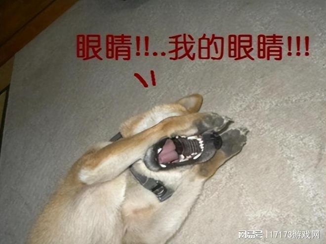 造就无数热梗的“氪金狗眼”，竟是魔兽玩家杜撰的？__造就无数热梗的“氪金狗眼”，竟是魔兽玩家杜撰的？