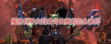 魔兽世界超火！大得出奇的蘑菇在哪刷？速看这俩地点