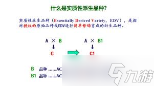 哲学、科学、法律领域中的实质性究竟意味着什么？