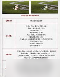 2021dnf51套宠物属性__五一套宠物装备