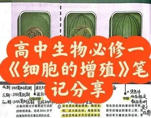 天龙小依赖__蒋依依的姐姐叫什么
