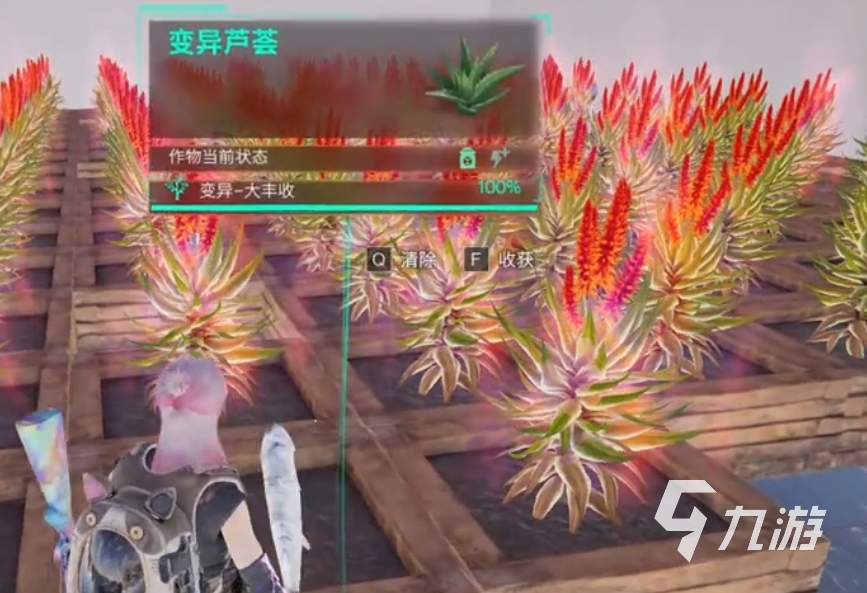 花卉肥料配方_尸变第七日异能者_