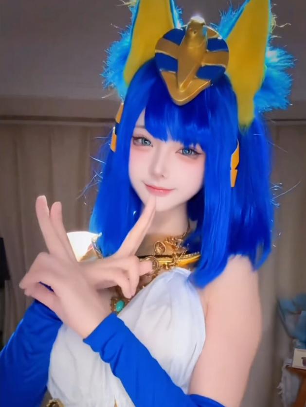 埃及猫百度百科_埃及都传疯了_
