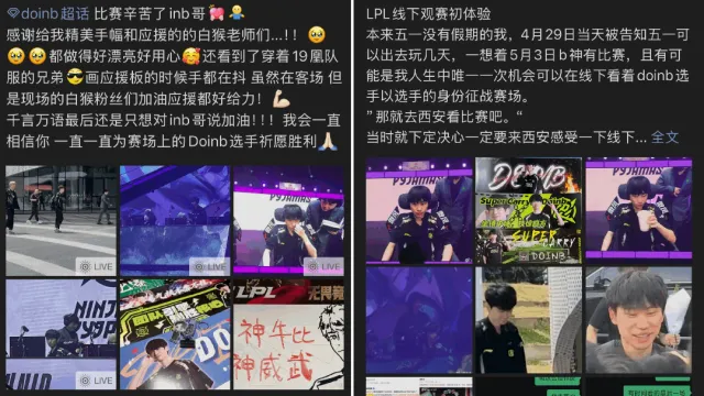 白猴相伴，岁月鎏金__白猴相伴，岁月鎏金