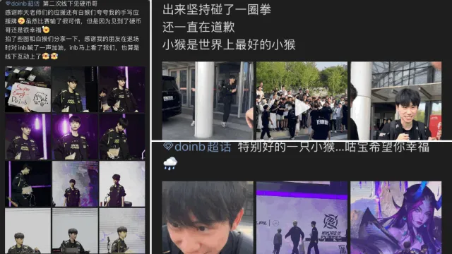 _白猴相伴，岁月鎏金_白猴相伴，岁月鎏金