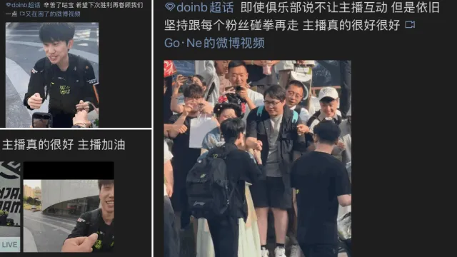 白猴相伴，岁月鎏金__白猴相伴，岁月鎏金