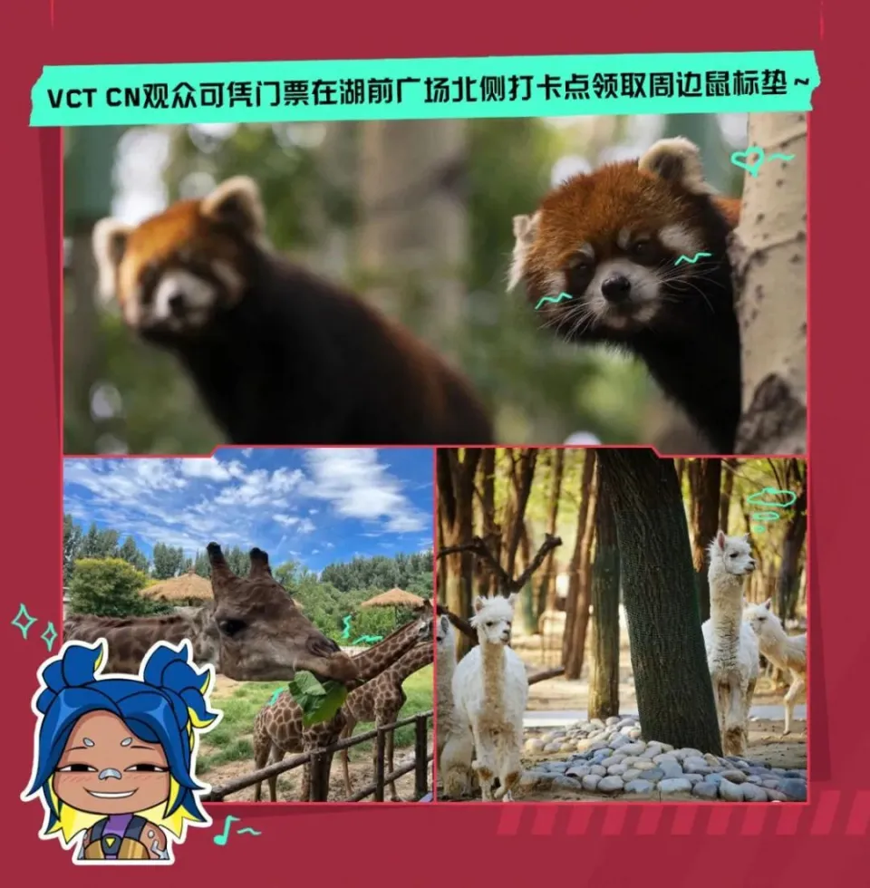 百花齐放迎春开__百花齐放迎新年下一句