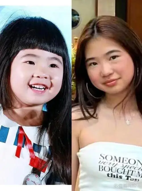 仙女爸爸是谁__爸爸去哪儿萌娃现状