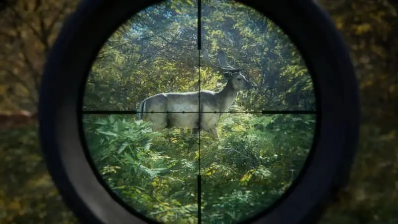 _Steam好评合作沙盒冒险佳作仅需5元！杉果限时闪促最后一轮预告_Steam好评合作沙盒冒险佳作仅需5元！杉果限时闪促最后一轮预告