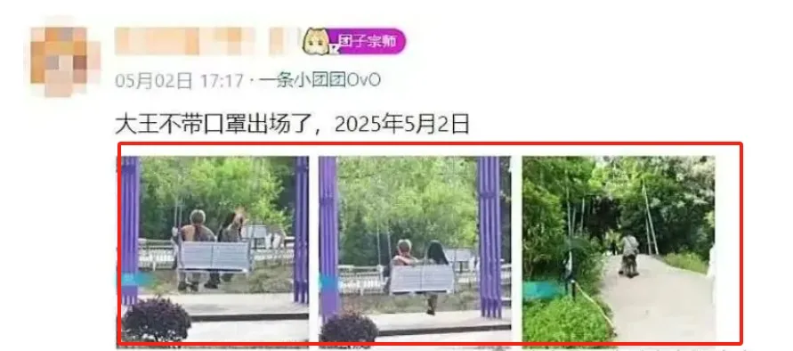 胖团团头像_胖团是什么意思_