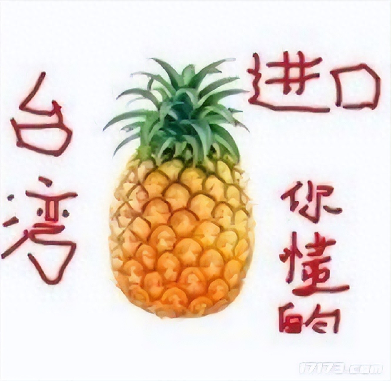 暗黑3玩家当年花680大洋网购三斤大菠萝？这价格咋不去抢银行！？