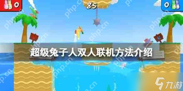 想与朋友在疯狂兔子人中联机游玩？这篇教程你不能错过