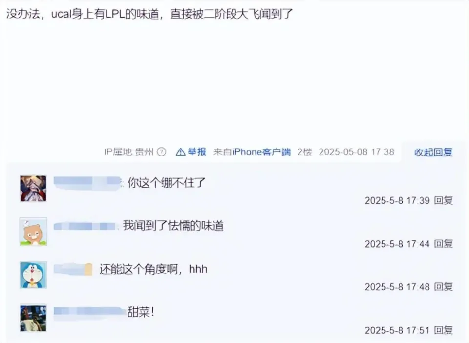 狐狸holo_狐狸能过多少年_