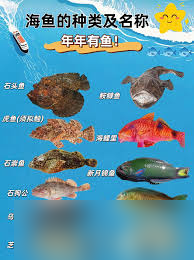 _海上庄稼海洋生物种称有哪些_海上有什么植物和动物