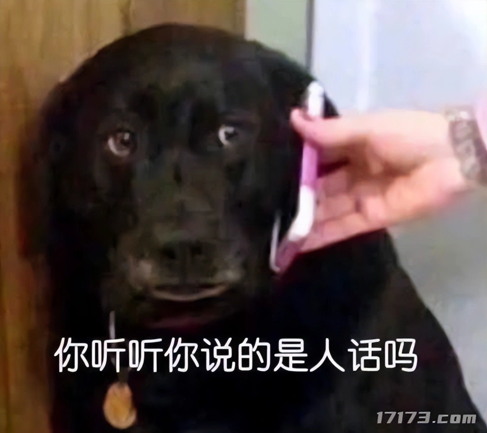 我奶拿了MVP！腾讯、网易为何都盯上了老年电竞？_我奶拿了MVP！腾讯、网易为何都盯上了老年电竞？_