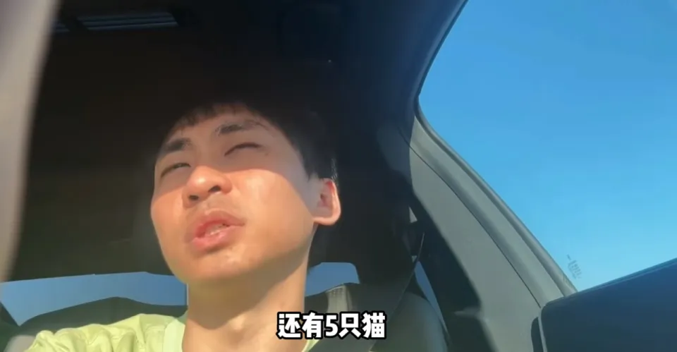 央视八大当家主播已出走__梦到姥姥提了袋米出走