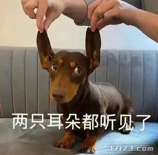 腾讯收入_2020腾讯各游戏收入具体_